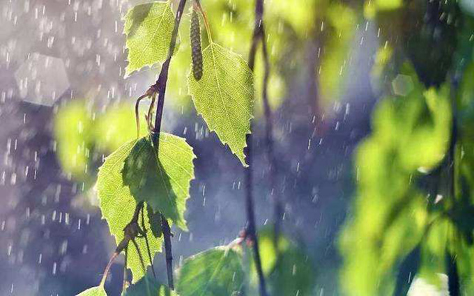 梅雨季节2.jpg